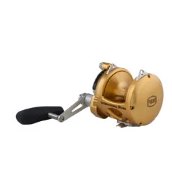 PENN International 50 VISX Reel INT50VISX - Gold -Fishing Gear Shop CW84993 1 86477.1672152408