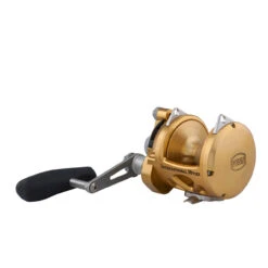 PENN International 30 VISX Reel INT30VISX - Gold 5 PENN International 30 VISX Reel INT30VISX - Gold -Fishing Gear Shop CW88909 2 27749.1672153178