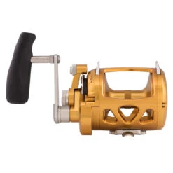 PENN International VI Series INT30VIW Trolling Reel -Fishing Gear Shop CW90467 1 61798.1672152572
