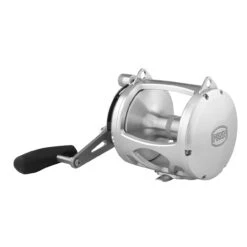 PENN International 80 VISWS INT80VISWS 2-Speed Conventional Reel - Silver -Fishing Gear Shop CW94671 1 10409.1672152672