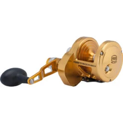 PENN Torque Lever Drag 2 Speed Reel Gold TRQ25NLD2 -Fishing Gear Shop CW97437 1 07876.1672152702