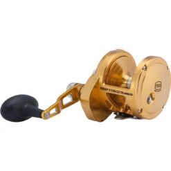 PENN Torque Lever Drag 2 Speed Reel Gold TRQ40NLD2 -Fishing Gear Shop CW97442 2 86501.1672152711