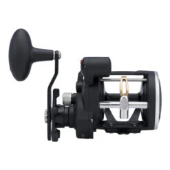 PENN Rival™ Level Wind Reel - RIV20LWLC -Fishing Gear Shop PENN Rival Level Wind 20LC 2017 alt3 88397.1644326842