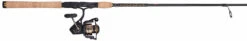 Penn BTLIII4000701M Battle III Spinning Combo -Fishing Gear Shop penn btliii4000701m battle iii spinning combo 91944.1651356201
