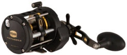 Penn Fathom II Level Wind Reels -Fishing Gear Shop penn fathom ii level wind reels 80803.1651033537