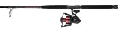 Penn FRCIII8000102H Fierce III Spinning Combo -Fishing Gear Shop penn frciii8000102h fierce iii spinning combo 93197.1651244507