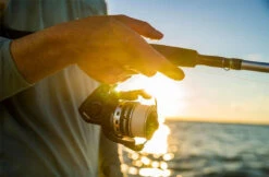 Penn Pursuit IV Spinning Reels -Fishing Gear Shop penn pursuit iv spinning reels 56136.1656656295