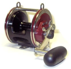 Penn Special Senator H2 Reels -Fishing Gear Shop penn special senator h2 reels 00188.1650814942