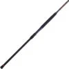 Penn Squadron III Surf Spinning Rods