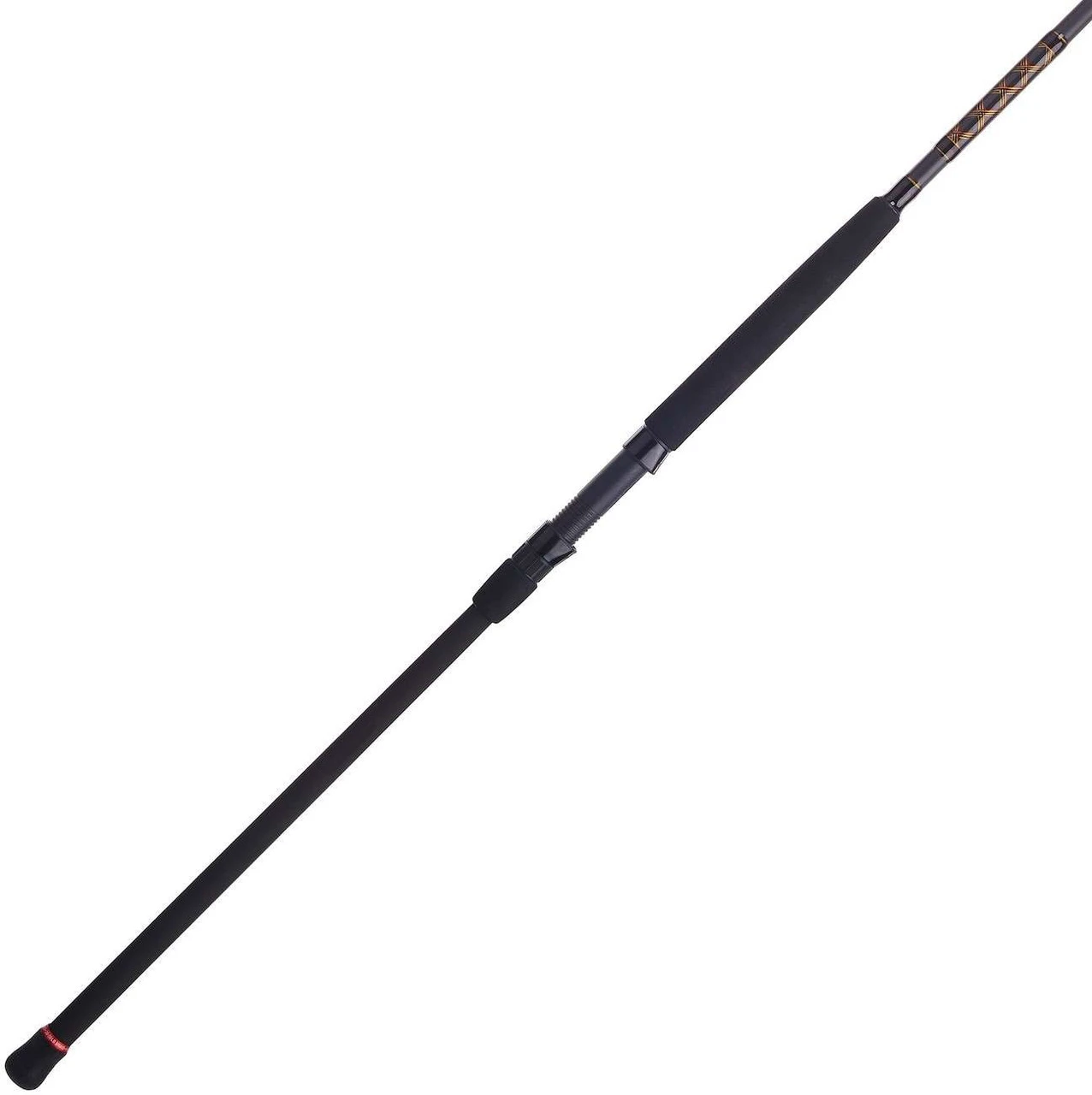 Penn Squadron III Surf Spinning Rods 1 Penn Squadron III Surf Spinning Rods