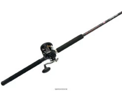 Penn Warfare Level Wind Combos 5 Penn Warfare Level Wind Combos -Fishing Gear Shop penn warfare level wind combos 13259.1650815140